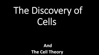 Discovery of Cells