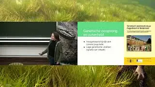 Herintroductie muurhagedis op Sint-Pietersberg - Lezing Cridi Frissen Moors | RAVON-dag 2025