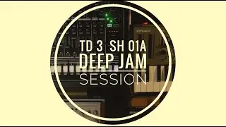 Behringer TD-3 // Roland TR-8 // JX-03 // SH-01A // JAM SESSION
