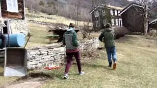 Waking The Orphan Lambs: Red and Yellow