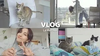 PINTANDO y REVOLEANDO LAS PATAS  (Vlog)