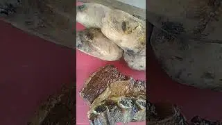 entrada: chinchu en provenzal y lim&oacute;n,guarni: papas al rescoldo//princi: asado de costilla y lomo