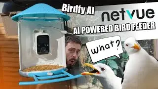 Netvue AI Birdfeeder Surveillance Camera Review - Wait WHAT?! Birdfy!