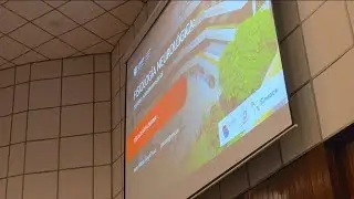 2. Sistema Somatosensorial | Fisiología Neurológica