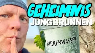 Birkensaft: Geheimnis Jungbrunnen &ndash; Stoppt Alterung/Birkenwasser ein  Energy Drink zum selber Zapfen
