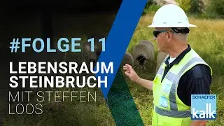 #Folge11 / Lebensraum Steinbruch mit Steffen Loos