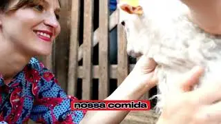 “A Sabedoria dos Animais Lições que Transformam a Nossa Vida”