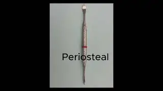 EXT Instrument SOP