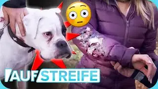 Von Hund GEBISSEN 😬​ Was steckt hinter der Attacke des aggressiven Tiers? | Auf Streife | SAT.1