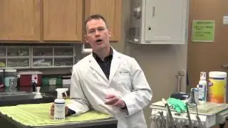 Dr. Cerny on Vetericyn's Veterinary Formula Product Line