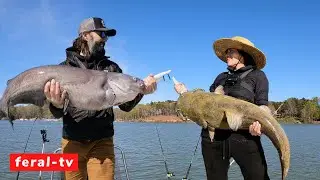 Spring Catfishing on Lake Wylie (Who Caught the BIGGEST fish??)