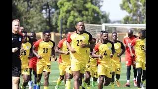 Uganda cranes day 1 training session