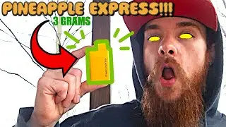 MITTEN EXTRACTS MAX 3G DISPOSABLE REVIEW!!! (Nature Session)