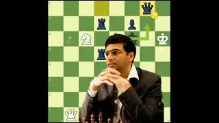 Vishy Anand Brilliancy ✨🤫