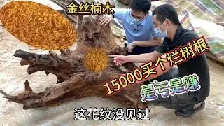 花15000买个金丝楠树根，回来发现里面全是烂泥巴，大家看看能做什么？「老蒋根雕」