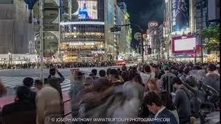DSC8581 8657 Shibuya crossing Tokyo timelapse cinemagraph