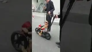 Ventr&iacute;culo motoqueiro.