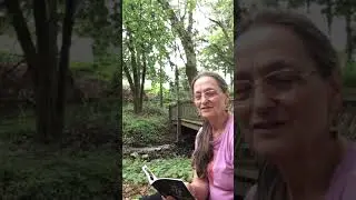 The Door of Everything by Ruby Nelson, Chapter One, The Father Consciousness