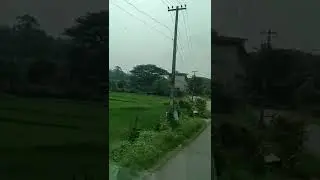 #assamese #bestofkerala  morning