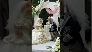 cat wedding video #5millionviews #catshorts #catvideos #youtubeshorts