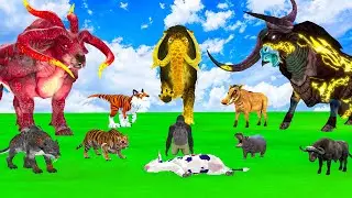 5 Giant Mammoth Elephant Cow Vs Giant Behemoth Vs 5 Giant Lion Tiger Wolf Saved By Wolly Mammoth