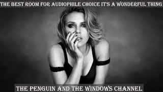 The best room for audiophile choice it's a wonderful thing