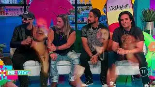 Regresan Los Menudos con 