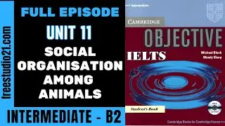 IELTS Intermediate | SB |  Unit 11 | текст Social Organisation Among Animals -Full Episode