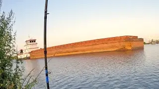 Barges Are Pluses And Minuses, Fishing For Catfish