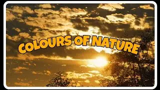 Colours of Nature #foryou #viral #goals #nature #love #subscribe #scenes