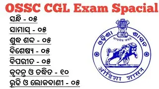 ଓଡ଼ିଆ ବ୍ୟାକରଣ || Odia Grammar Practice set for OSSC/OSSSC || Sahoo ji Study ||
