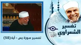 تفسير الشعراوي - تفسير 