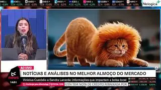 🔴 AO VIVO | BB SEGURIDADE BBSE3 BALAN&Ccedil;O, ENEVA DESPENCA ANEEL ENEV3, RA&Iacute;ZEN RAIZ4, COTA&Ccedil;&Atilde;O D&Oacute;LAR