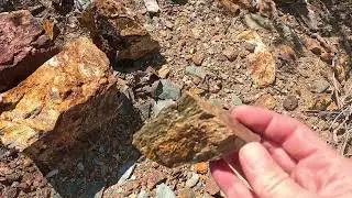 Mineralized Samples / Hard Rock Mining