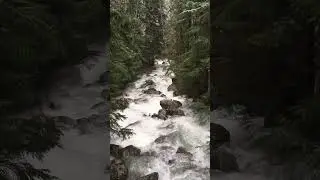 Disappearing Floodwaters | Snow Begins | Humpback Creek | Cascading Whitewater #nature #river #flood