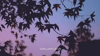أغدًا أخيرًا نلتقي!