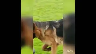Quen Di Casa Vecchiarelli La 👑 Killa jugando con Agust&iacute;n Cravea