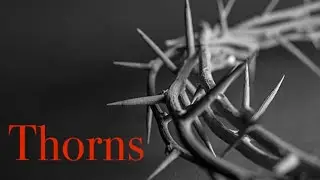 Thorns_ TSNL Church Bushnell Fl_ Ricardo Vera