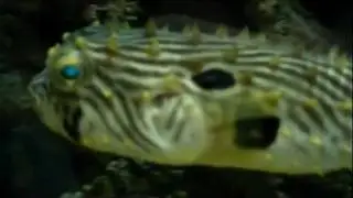 Adventure Aquarium! Camden, New Jersey