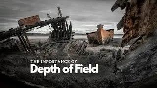Use Depth of Field to Improve Your Images.