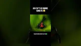 Mantis defends himself with Kung Fu!