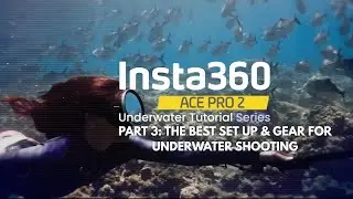 Insta360 Ace Pro 2 for Diving | Part 3: The Best Set Up & Gear for Underwater Shooting