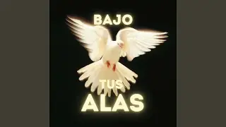 BAJO TUS ALAS 1