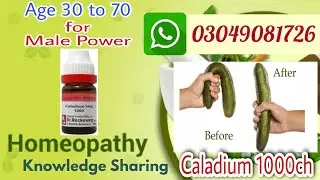 Caladium 1000ch | caladium 1000ch uses | caladium homeopathic medicine for Men power | how to use