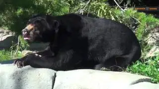 Columbus Zoo and Aquarium