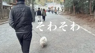 みんなと一緒に初詣でそわそわまめこ