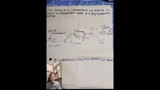Cellobiose