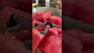 watermelon #watermelonfacts #summertreats