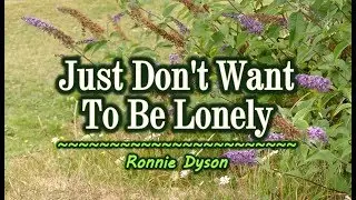 Just Don't Want To Be Lonely - Ronnie Dyson (KARAOKE VERSION)