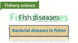 Bacterial diseases of fishes | fishery science